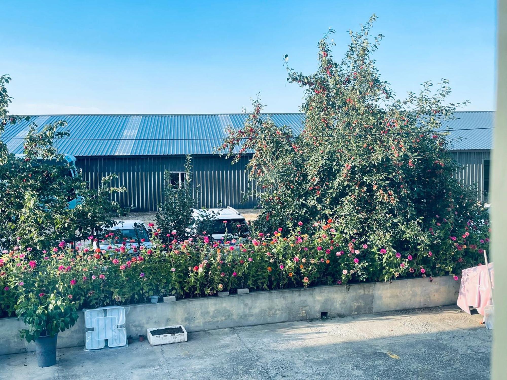 哈尔滨机场东方红运宾馆 Hotel Exterior photo